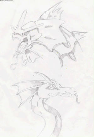 dragons.jpg